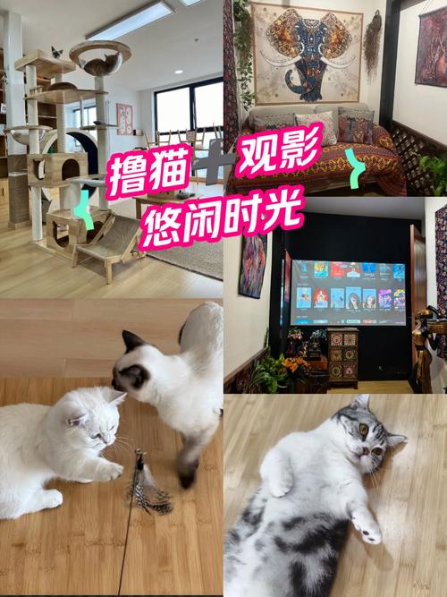 91人妻情感实录：婚后3年，她如何平衡家庭与自我成长的长尾关键词