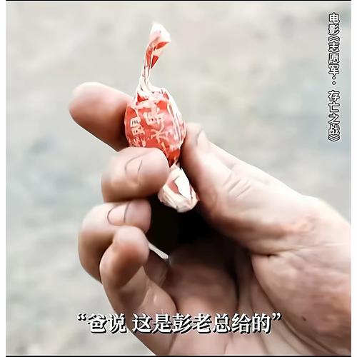 不卡毛片在线播放的相关介绍