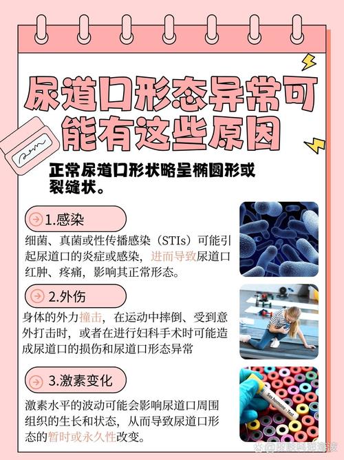 国产女人av一级一区二区三区的相关介绍