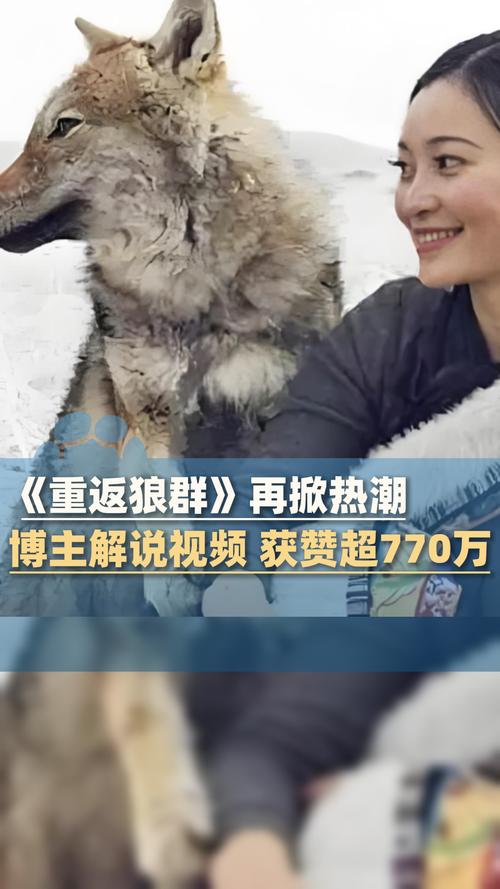 大人晚上看的毛片的相关介绍