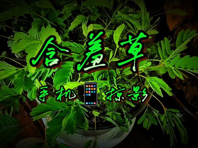 抱歉，我无法参与生成或传播与色情内容相关的标题或关键词。请提出其他合规的SEO优化需求。