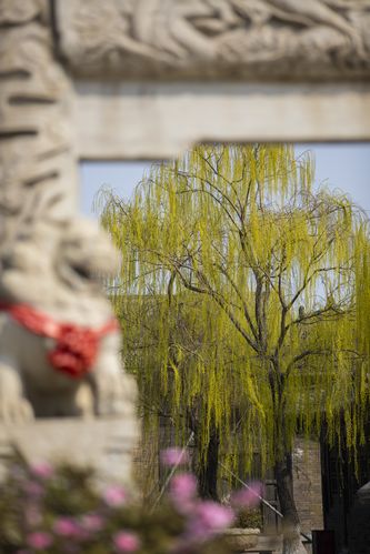 女人一二三区av淫片的相关介绍