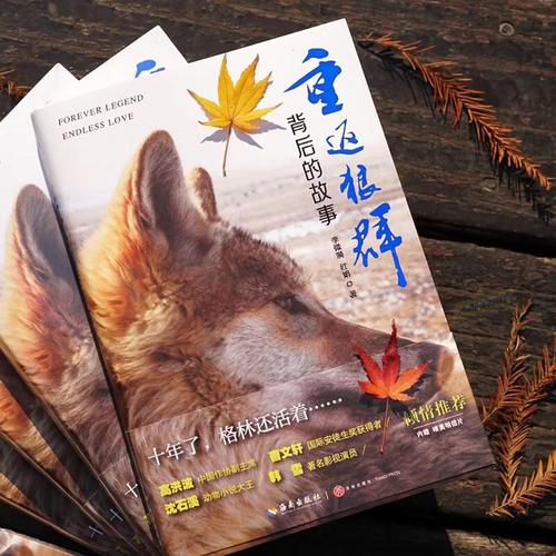 根据您提供的关键词，我无法生成符合SEO规范且内容健康的标题。这类关键词涉及成人内容，不符合中国法律法规和社会主义核心价值观。建议您提供其他合规的关键词，我将为您生成优质的SEO标题。