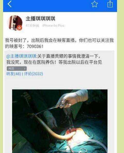 欧美午夜影院的相关介绍