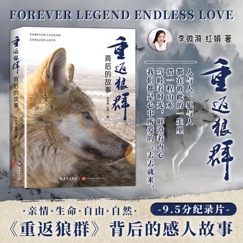 夜色影院：深夜在线观影指南｜免费高清资源｜小众冷门片单推荐