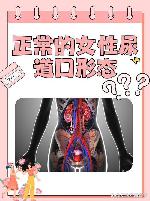 飘花影院免费线看的相关介绍